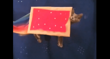 YouTube - The Poptart Cat Live 'nyan nyan'